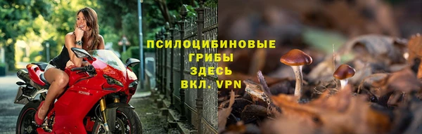 индика Наволоки