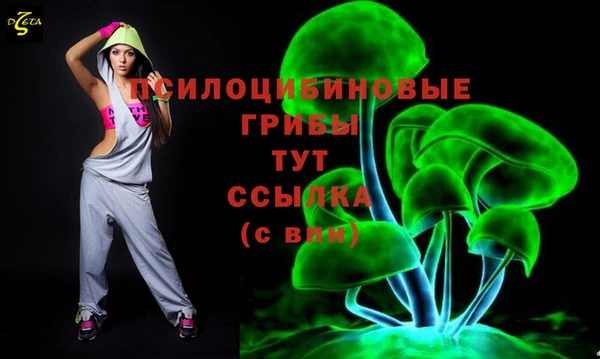 прущие грибы Михайловка