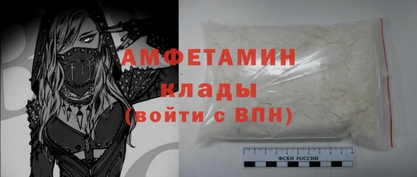 прущие грибы Михайловка