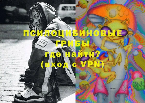 индика Наволоки
