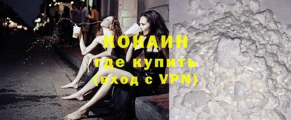 прущие грибы Михайловка