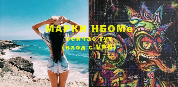 индика Наволоки