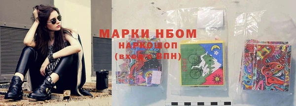 индика Наволоки