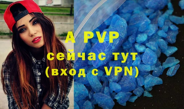 прущие грибы Михайловка