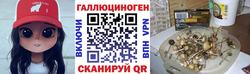 darknet телеграм  Чулым  Псилоцибиновые грибы Magic Shrooms 